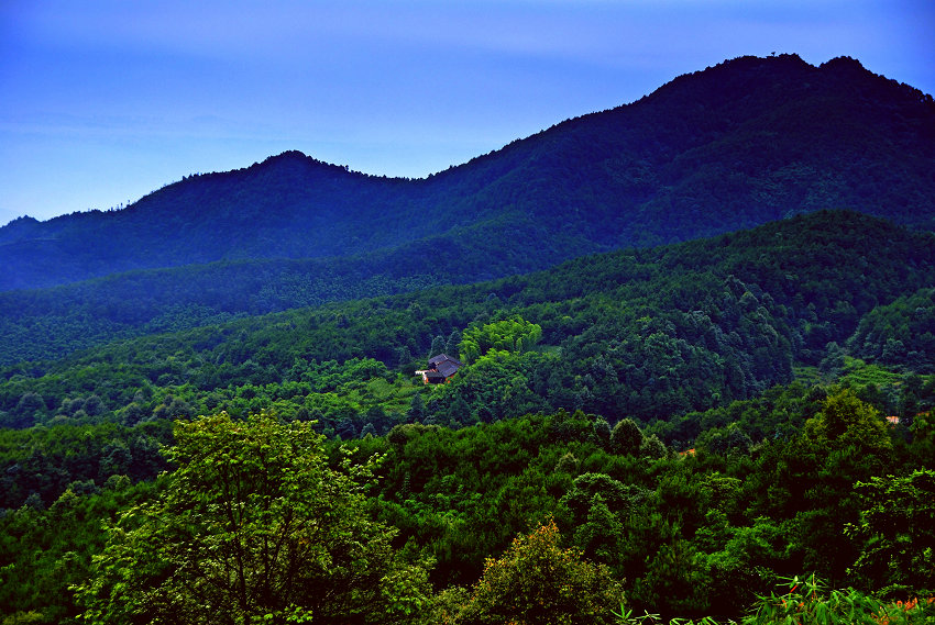 仙居 摄影 山野俗夫