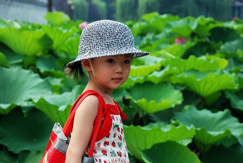 小美女 摄影 老树新芽