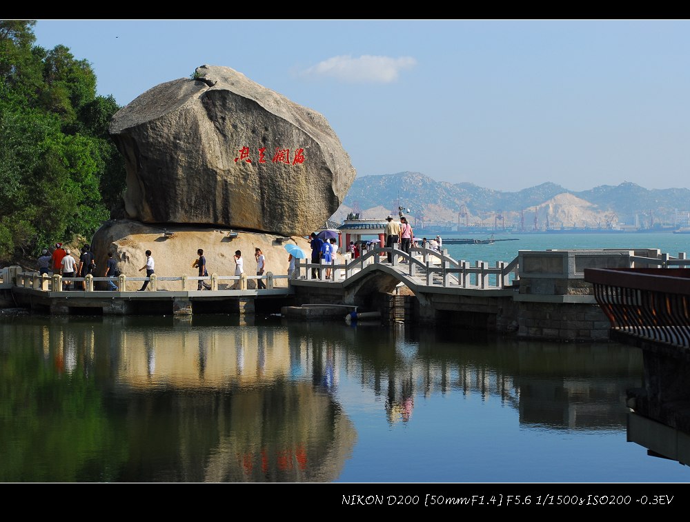 海阔天空 摄影 流浪的灰