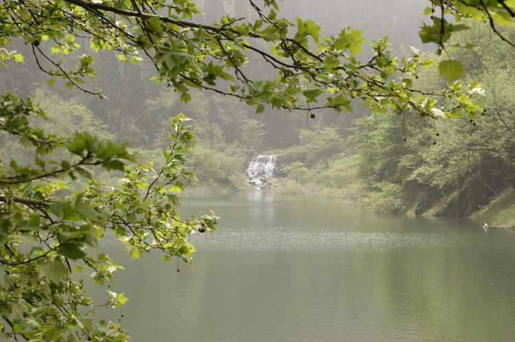 庐山 摄影 红中癞子杠