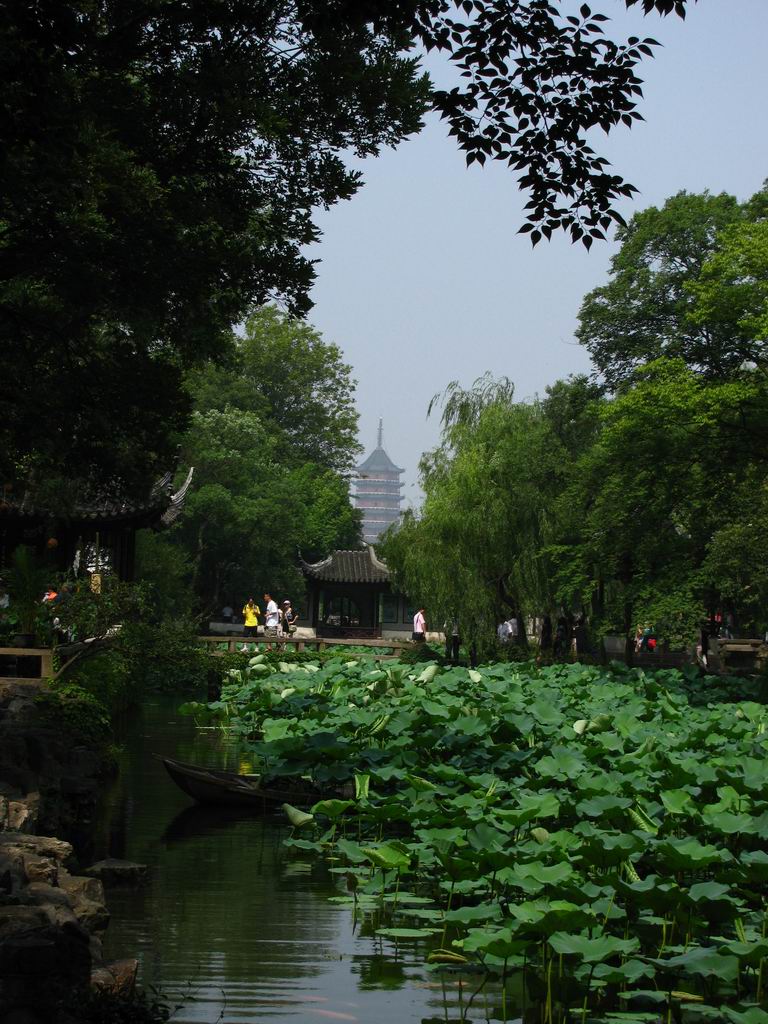 苏州园林.拙政园.借景 摄影 綄鎂幸福