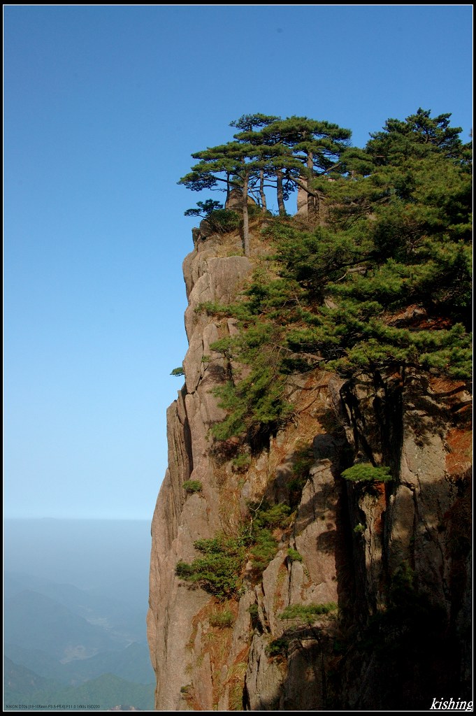 黃山行 27 摄影 老楊