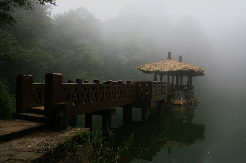 阿里山小景 摄影 成钢