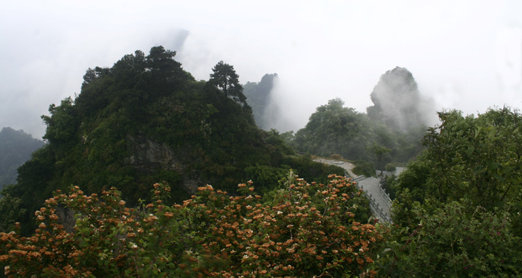 五当山组照--山花烂漫 摄影 冰清玉洁bqyj