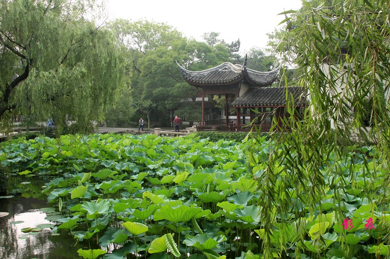 夏  日  的  庭  院 摄影 影痕