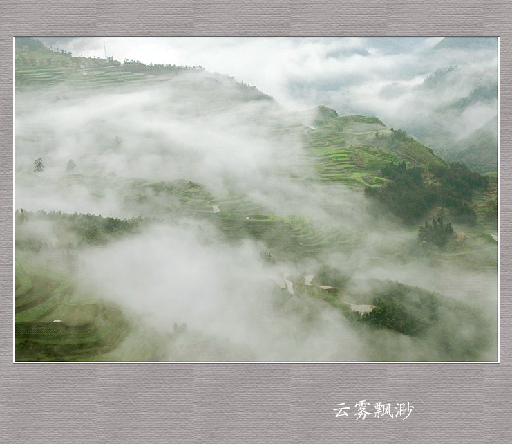 云雾飘渺 摄影 雨亦奇