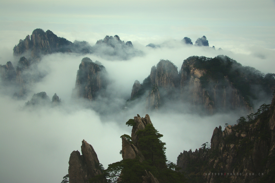 黄山 摄影 沙弛