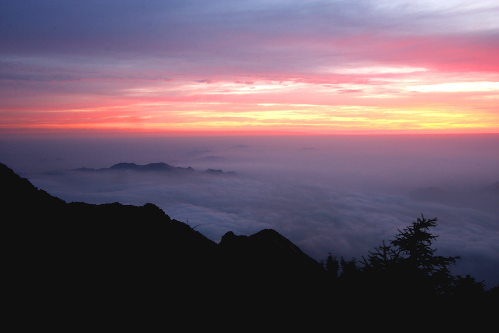 泰山 云海 朝霞 摄影 mglao