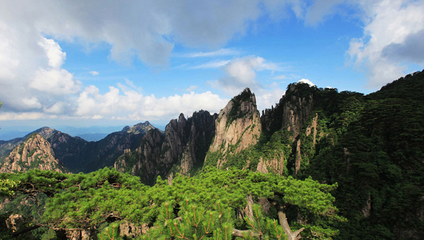 黄山印象 摄影 午后红茶001