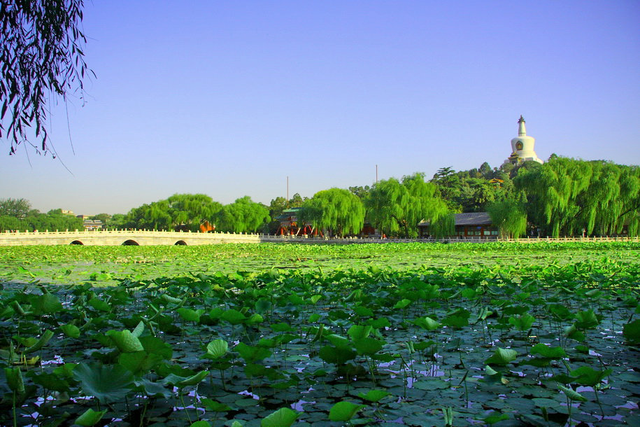 北海风景 摄影 延平