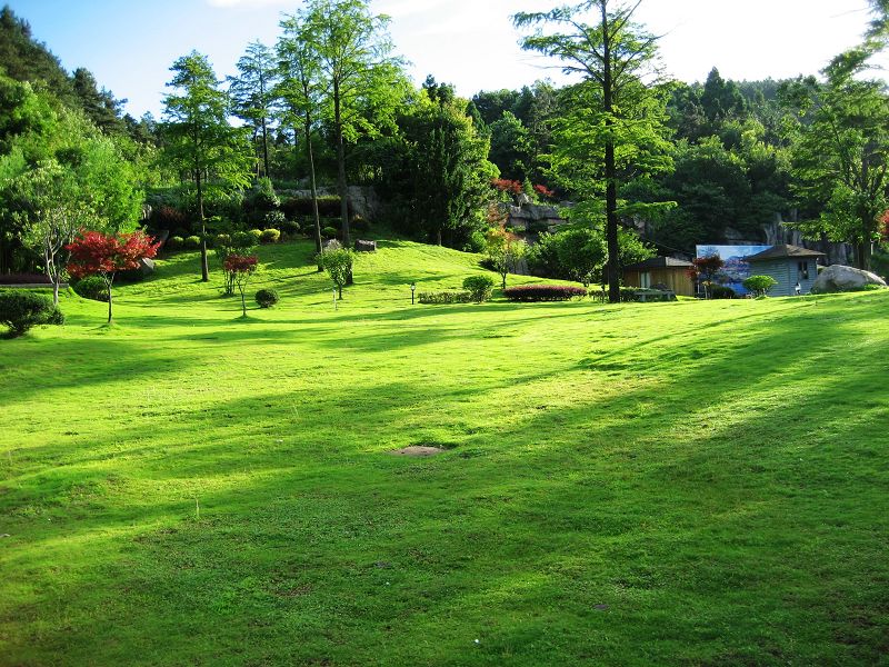 奉化商量岗风景区 摄影 紫苏