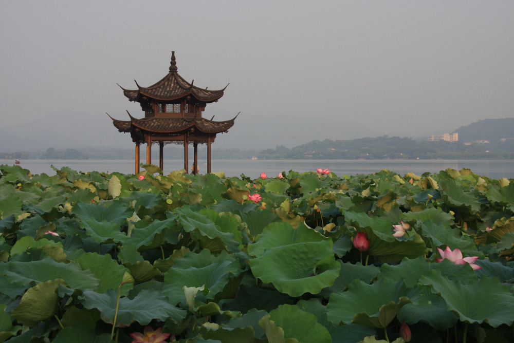 西湖晨雾 摄影 奔流不息