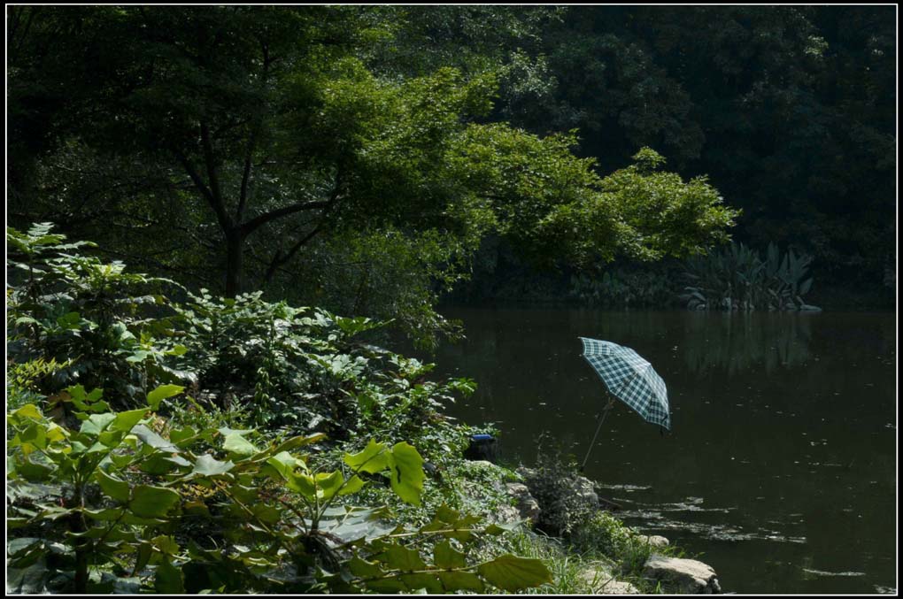 夏日的那点风情 摄影 lingsu