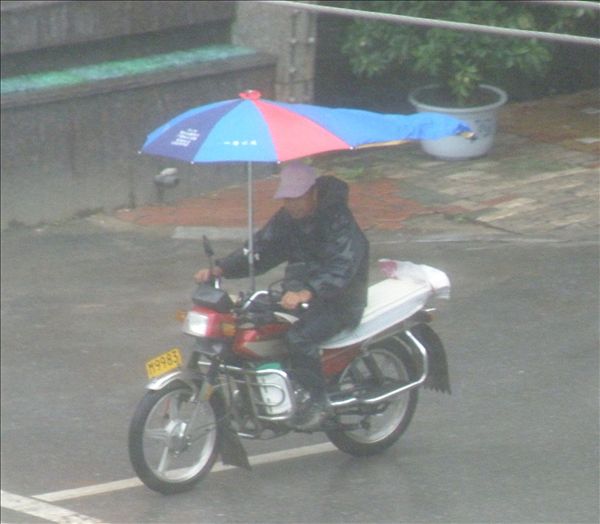 雨中情 摄影 凡成