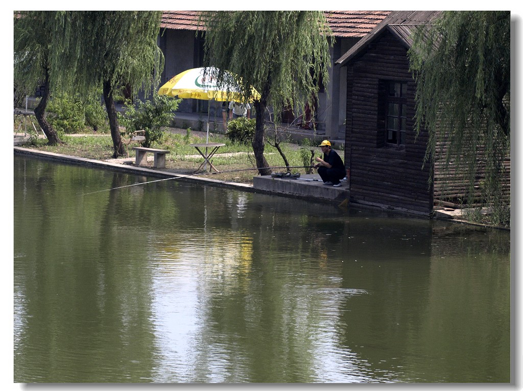 江畔垂钓 摄影 静海愚公