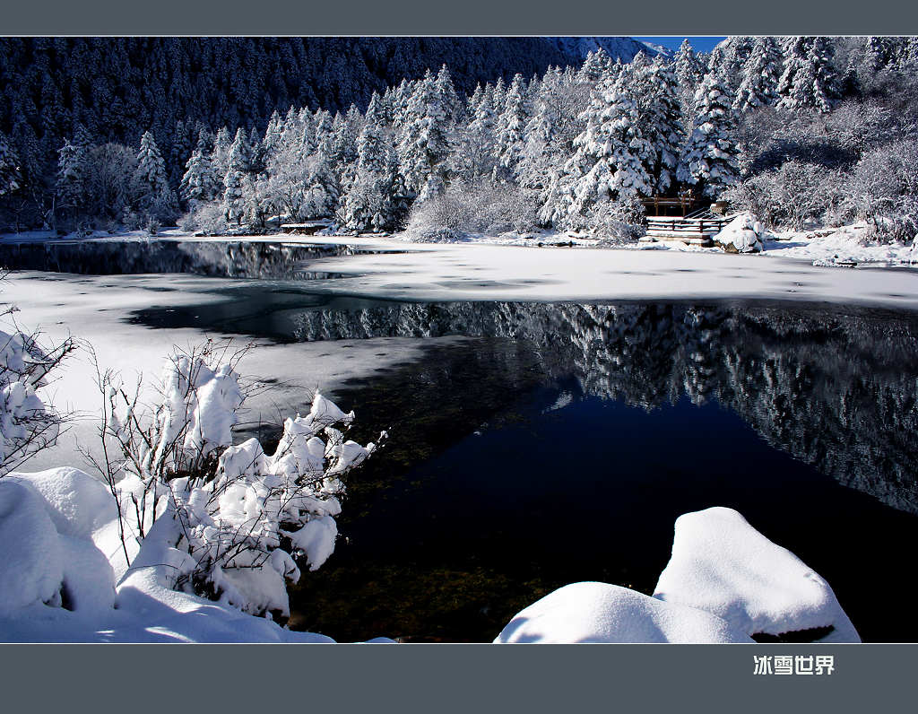 冰雪世界 摄影 youzong