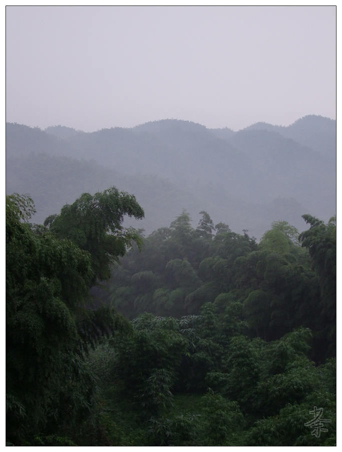 清晨 摄影 荼...