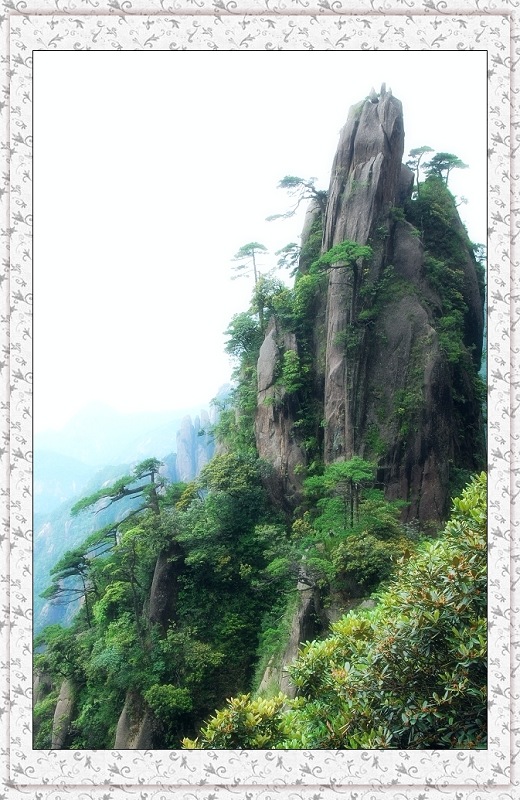 三清山 奇峰  劲松 摄影 一路无为