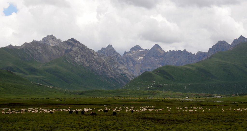 夏日牧场（一） 摄影 高原风景