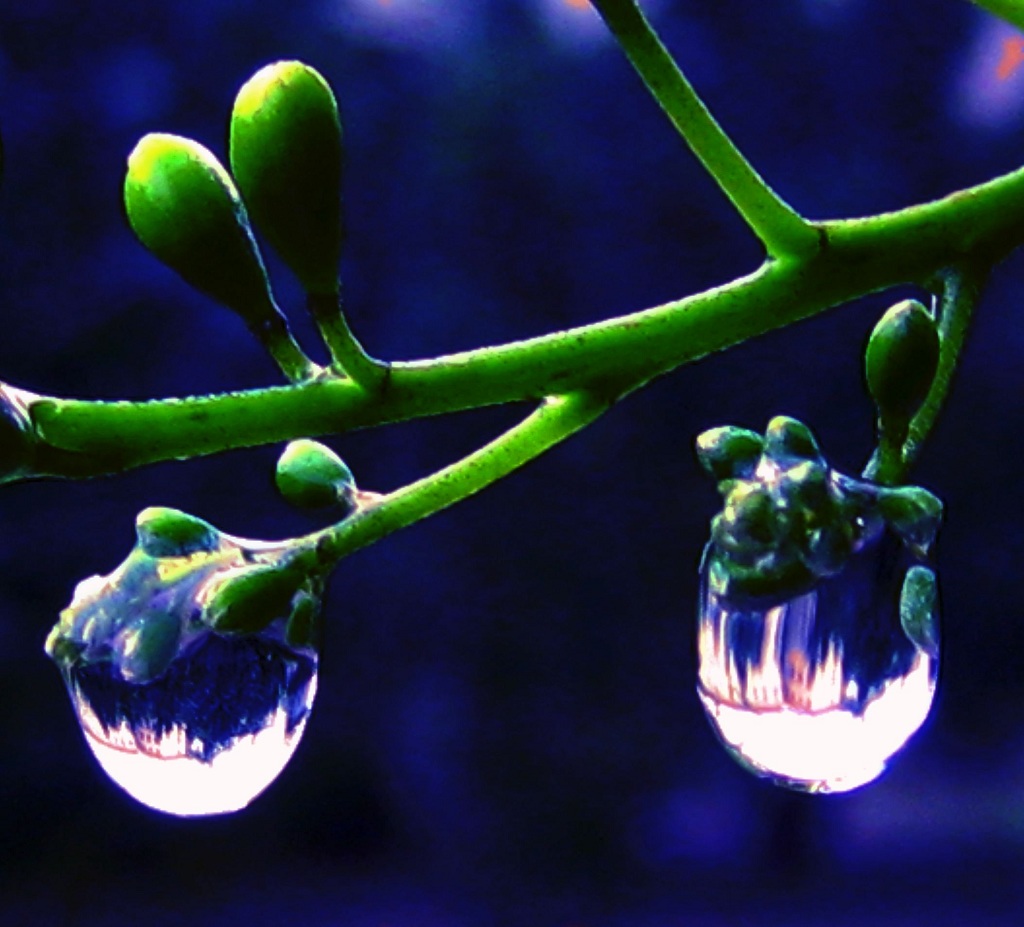 雨露2 摄影 物价局