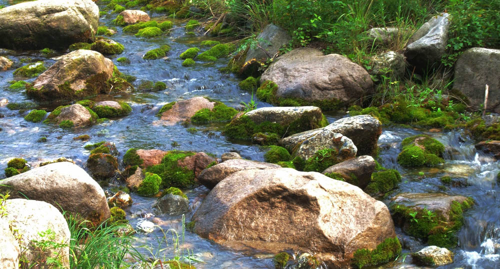 夏都即景（一） 摄影 摄眼无疆