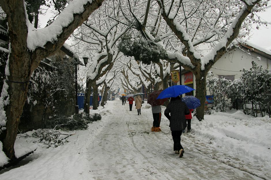 雪压古城 摄影 上虞鲁班