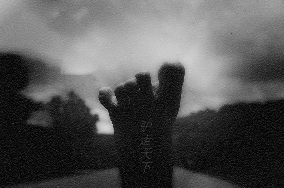 驴走天下 摄影 听雨轩-亚明