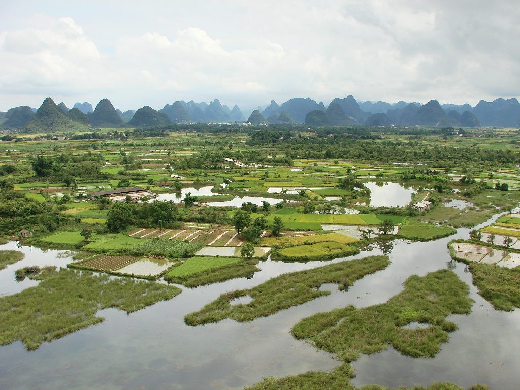 会仙湿地 摄影 阳朔陈公兴