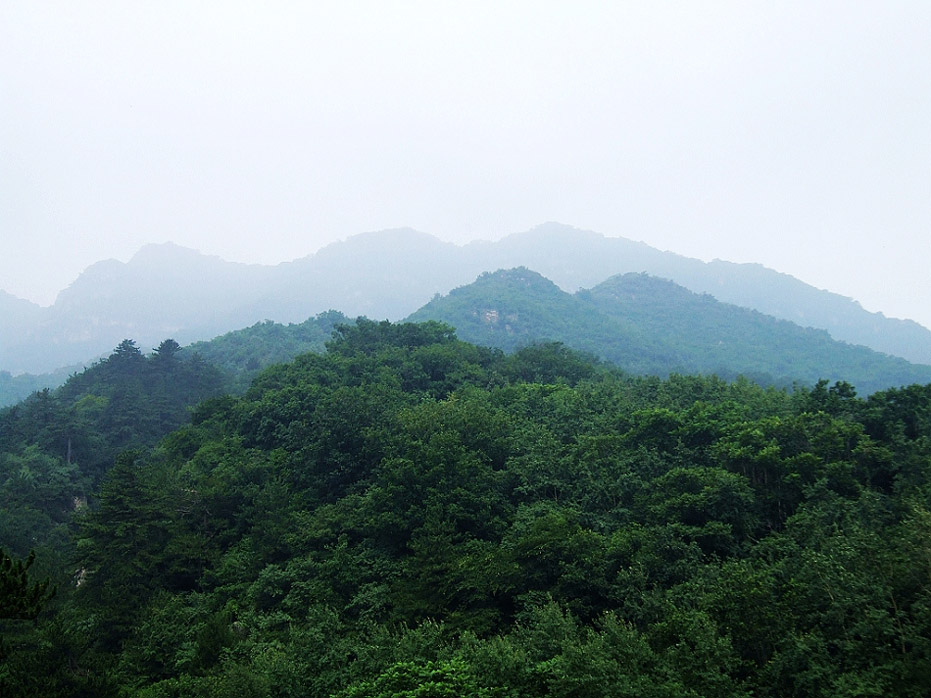 夏都即景（三） 摄影 摄眼无疆