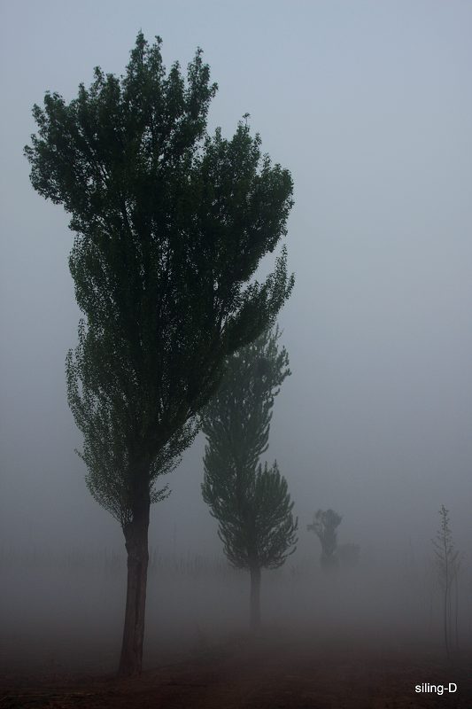 小景 摄影 都越来越好