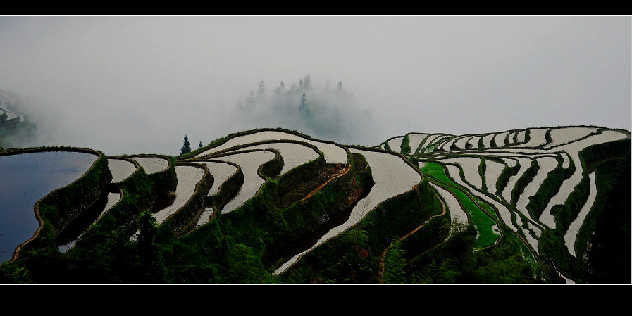 梯田晨韵 摄影 山水情未了