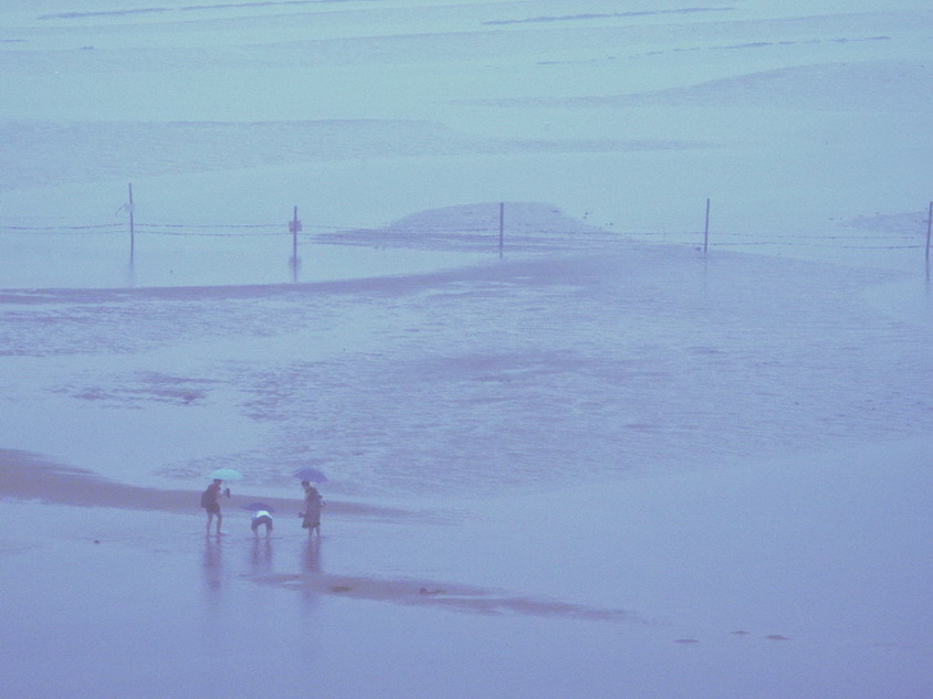 雨中赶海 摄影 allalone