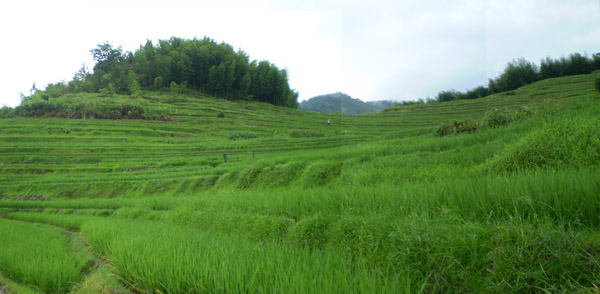 江山风景 摄影 乌游