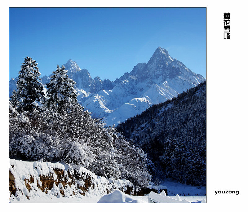 莲花雪峰 摄影 youzong