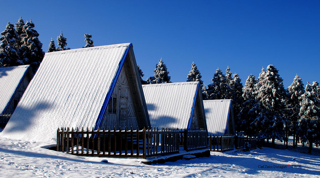 雪景 摄影 runyee