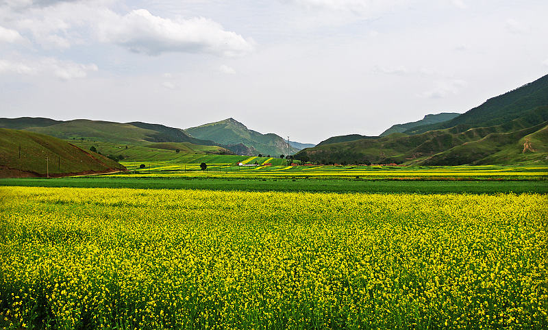 青山花海 摄影 峡谷