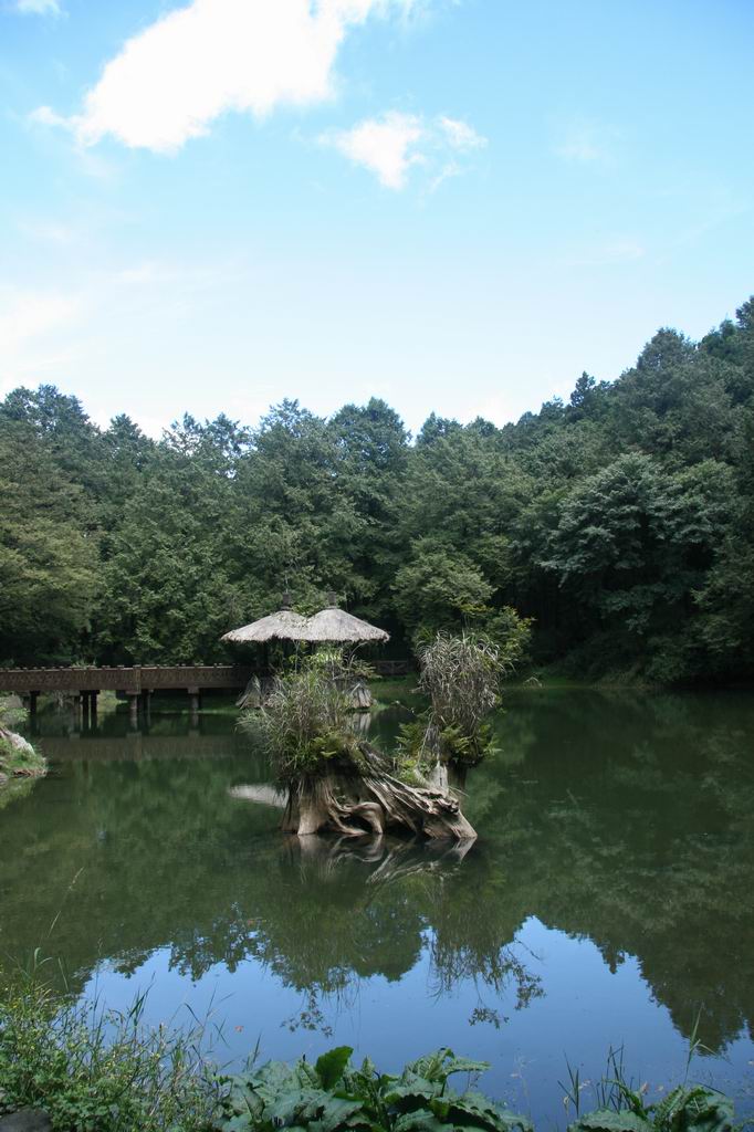 阿里山风光2 摄影 水满则溢