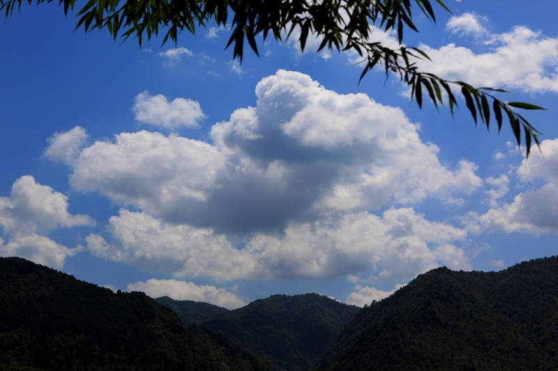 动 摄影 陈林峰