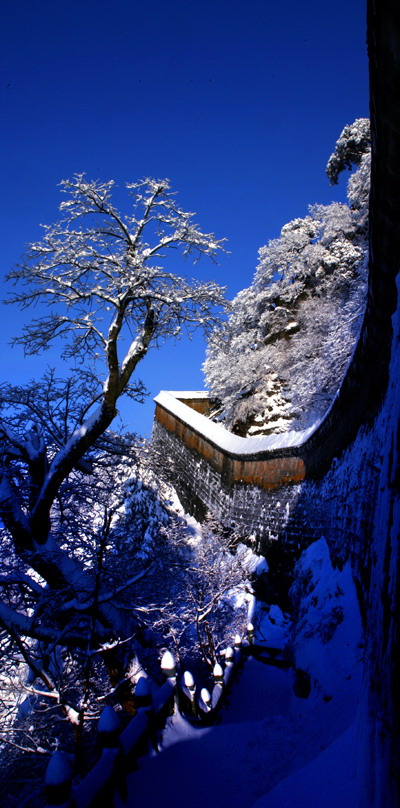 雪景 摄影 玄道长