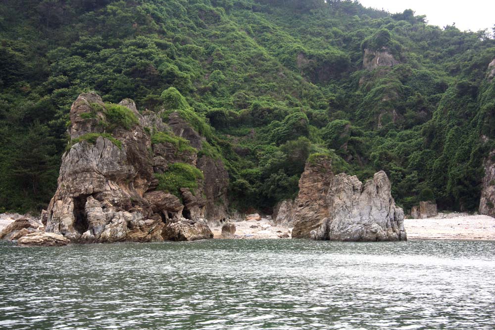 鸟岛 登岛门户 摄影 晓南