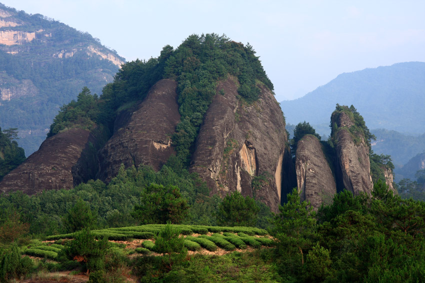 武夷山风光-------三花峰 摄影 老过