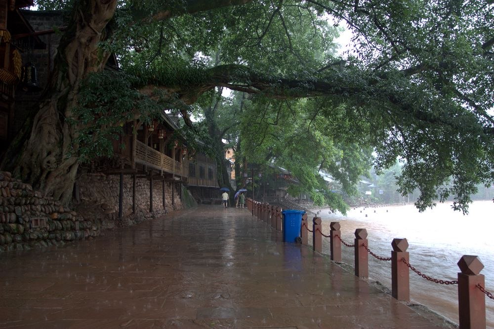 烟雨柳江 摄影 一明