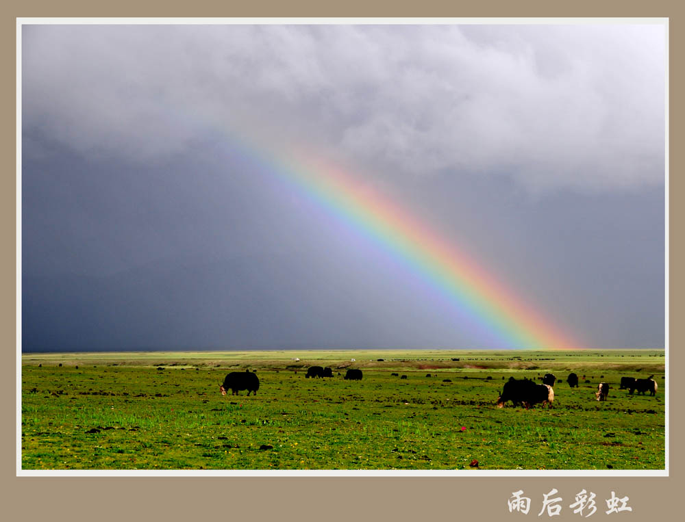 雨后彩虹 摄影 湖水清清