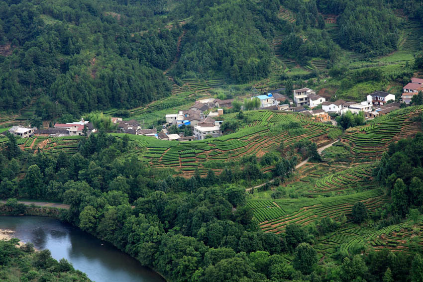 武夷山岩茶村 摄影 老过