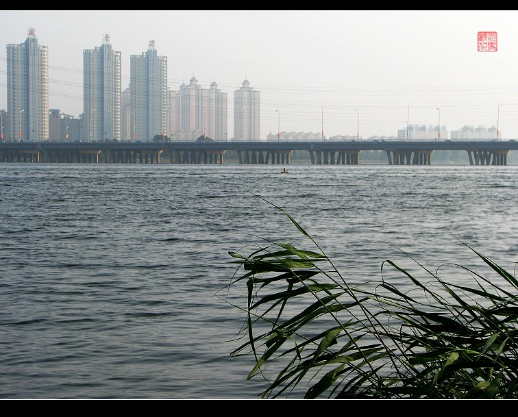 沈阳浑河 摄影 走马观花