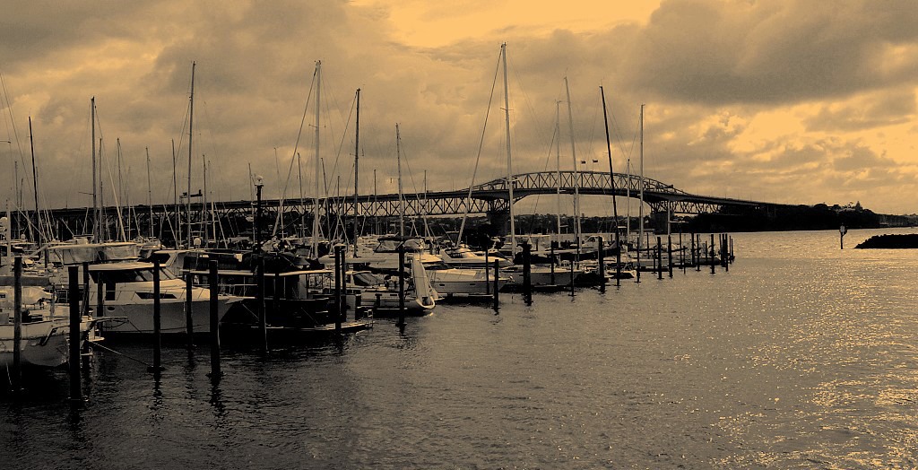 Auckland Harbour Bridge 摄影 樱桃布丁