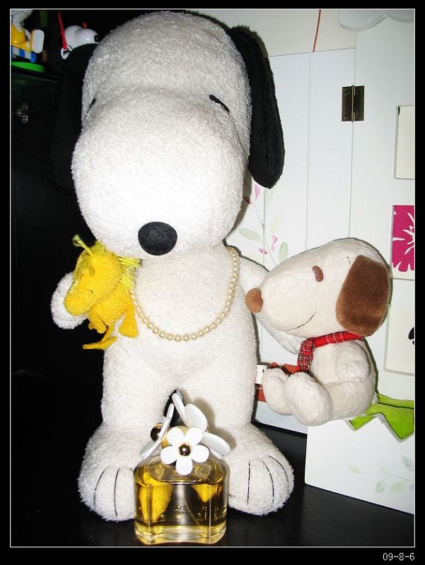 snoopy&Daisy 摄影 小丫子