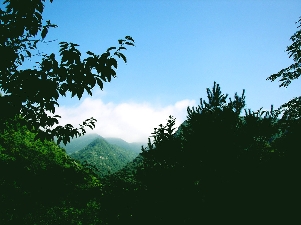 龙须山风光 摄影 子城