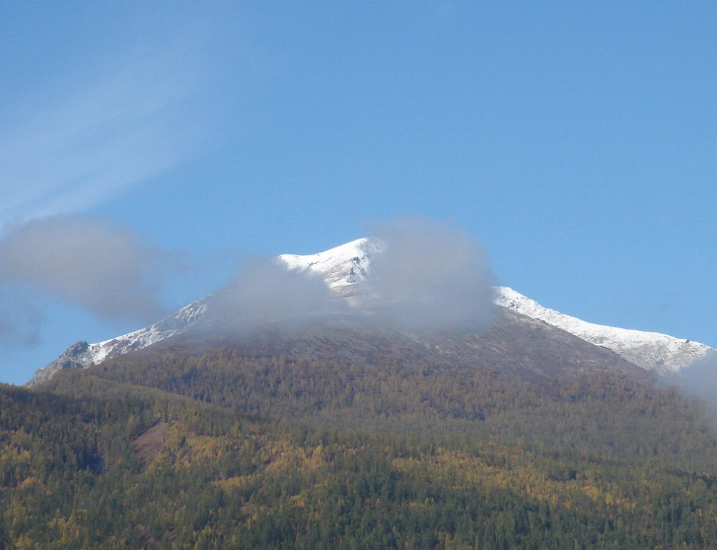 雪山 摄影 梅花猪