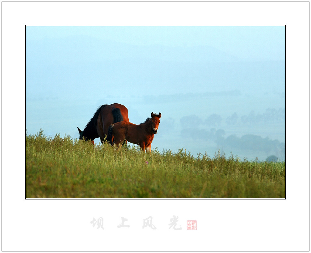 坝上风光 摄影 逐影者